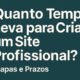 Quanto tempo leva para criar um Site Profissional