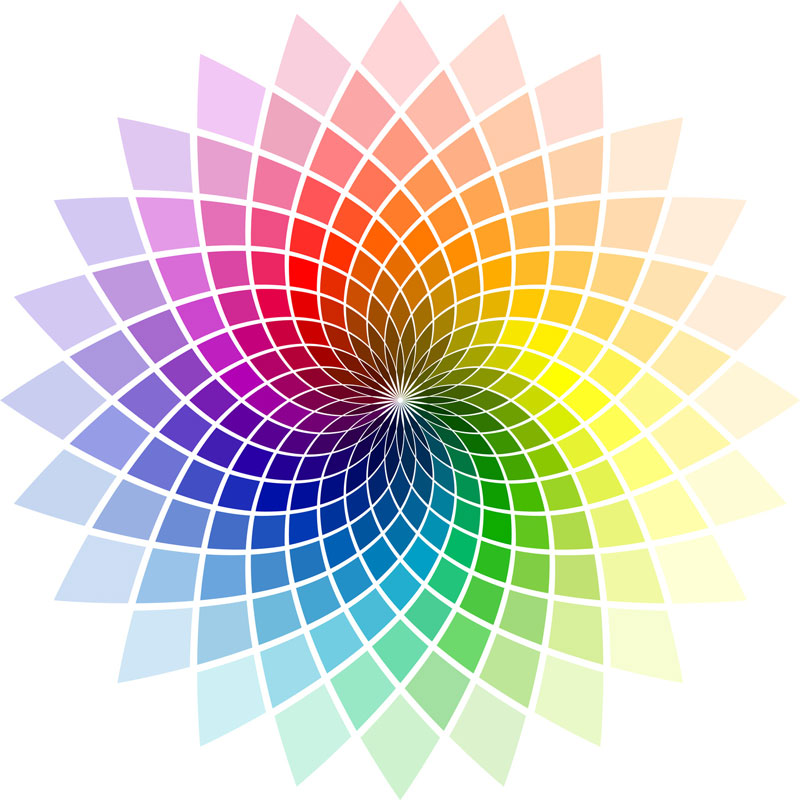 Paleta de cores: primeiro passo para criar sua identidade visual - Blog  Vhita - Conteúdos sobre saúde, nutrição e suplementos